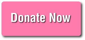 donate-now-button_project-pink
